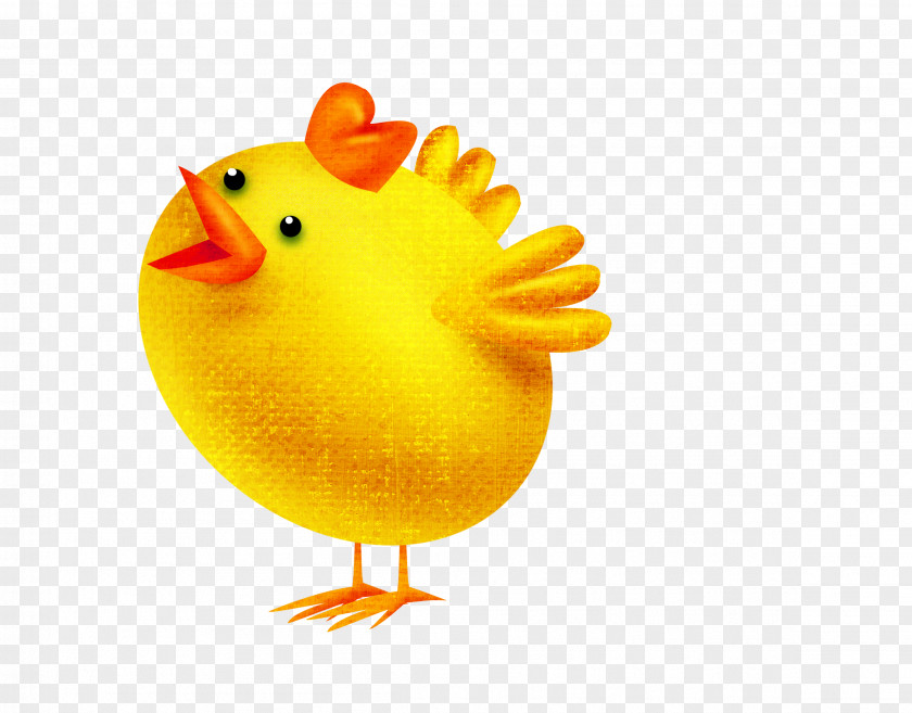 Orange Cute Chick Chickens As Pets Kifaranga Clip Art PNG