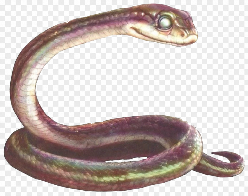 Snakes Snake Mrs. Plithiver Gylfie Kludd Guardians Of Ga'Hoole PNG