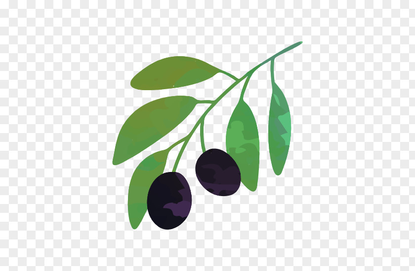 Vector Graphics Stock Illustration Drawing Olive PNG