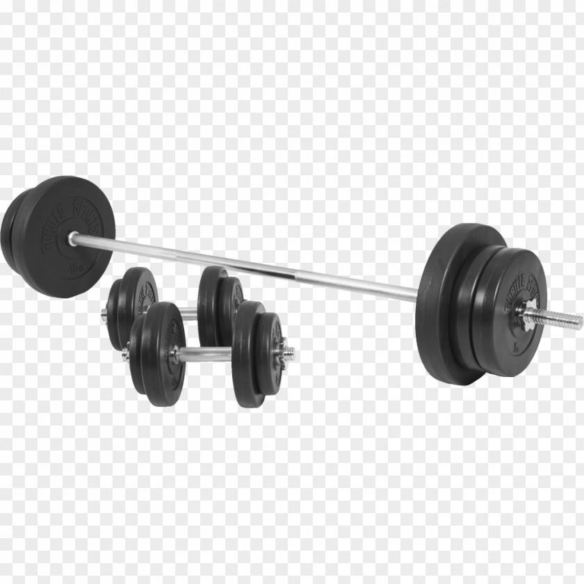 Barbell Dumbbell Bench Weight Training Plastic PNG