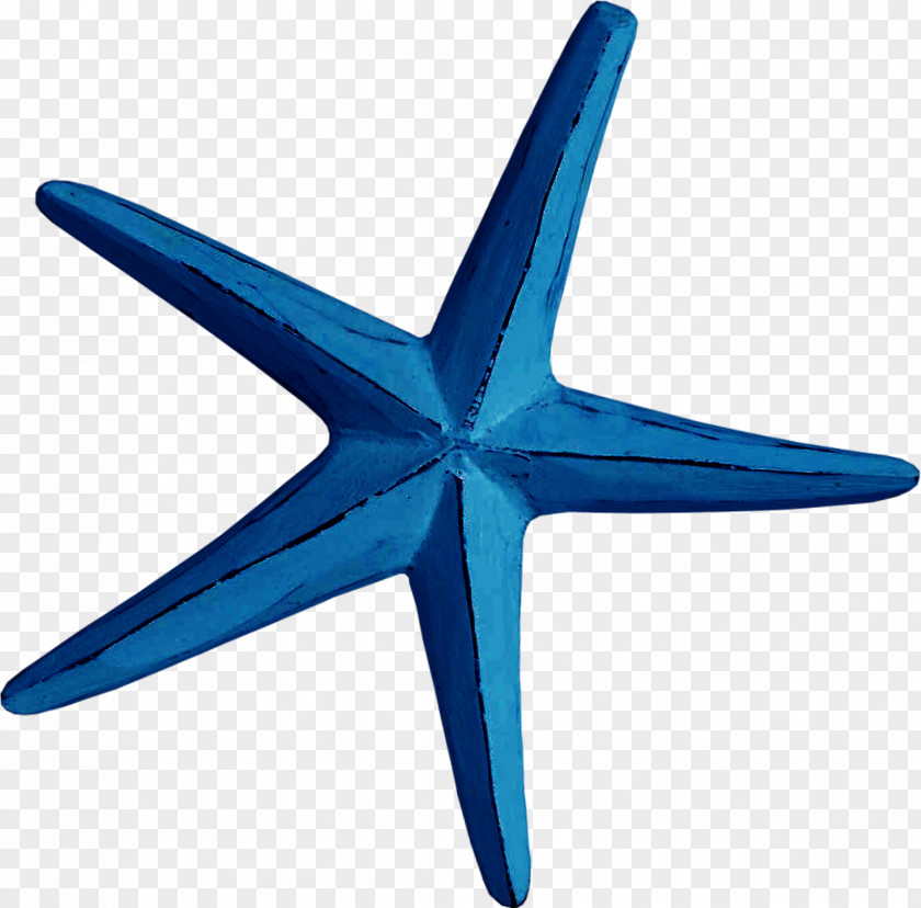Creative Blue Starfish Creativity Euclidean Vector PNG