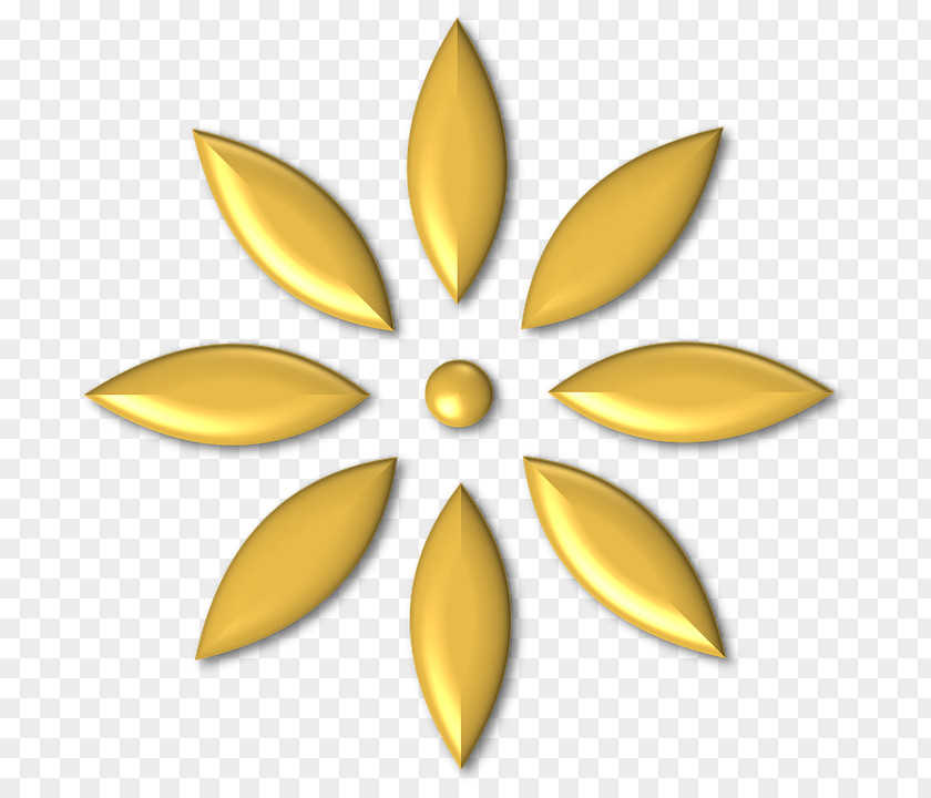 Gold Button Yellow Clip Art Symmetry Ornament PNG