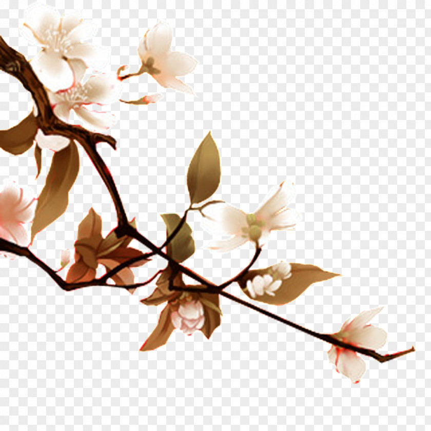 Pear In Full Bloom Peach Illustration PNG