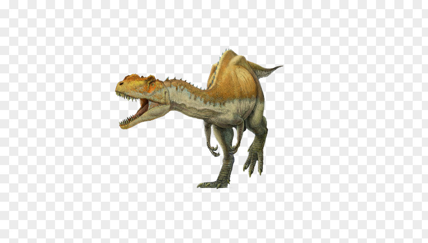 Scary Dinosaur Spinosaurus Yangchuanosaurus Tyrannosaurus Metriacanthosaurus Suchomimus PNG