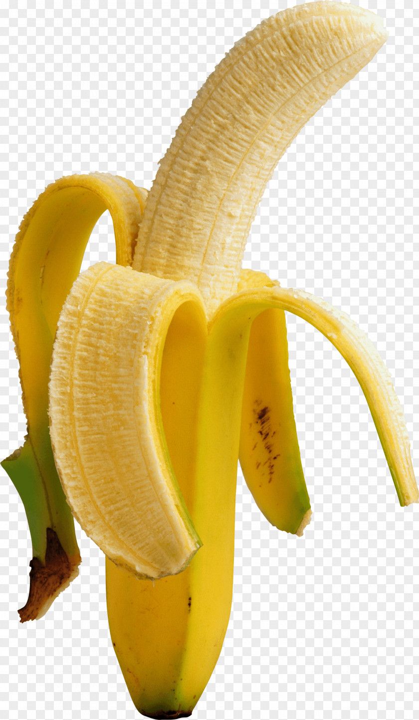 Banana Image Clip Art PNG