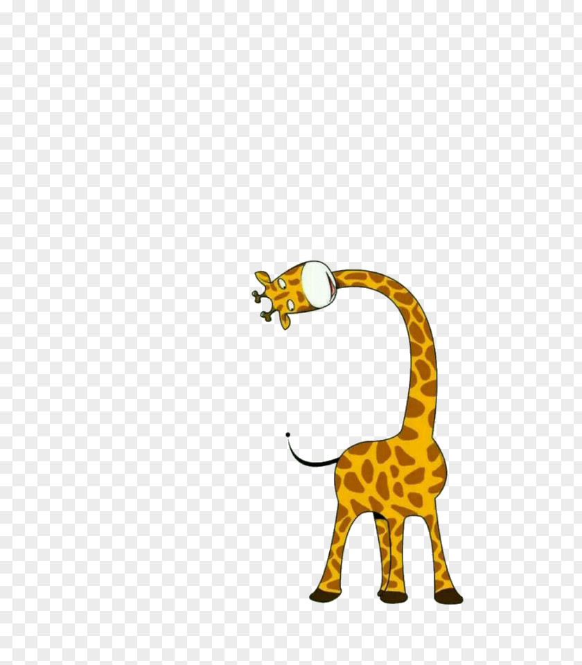 Cute Giraffe Cartoon Drawing Illustration PNG