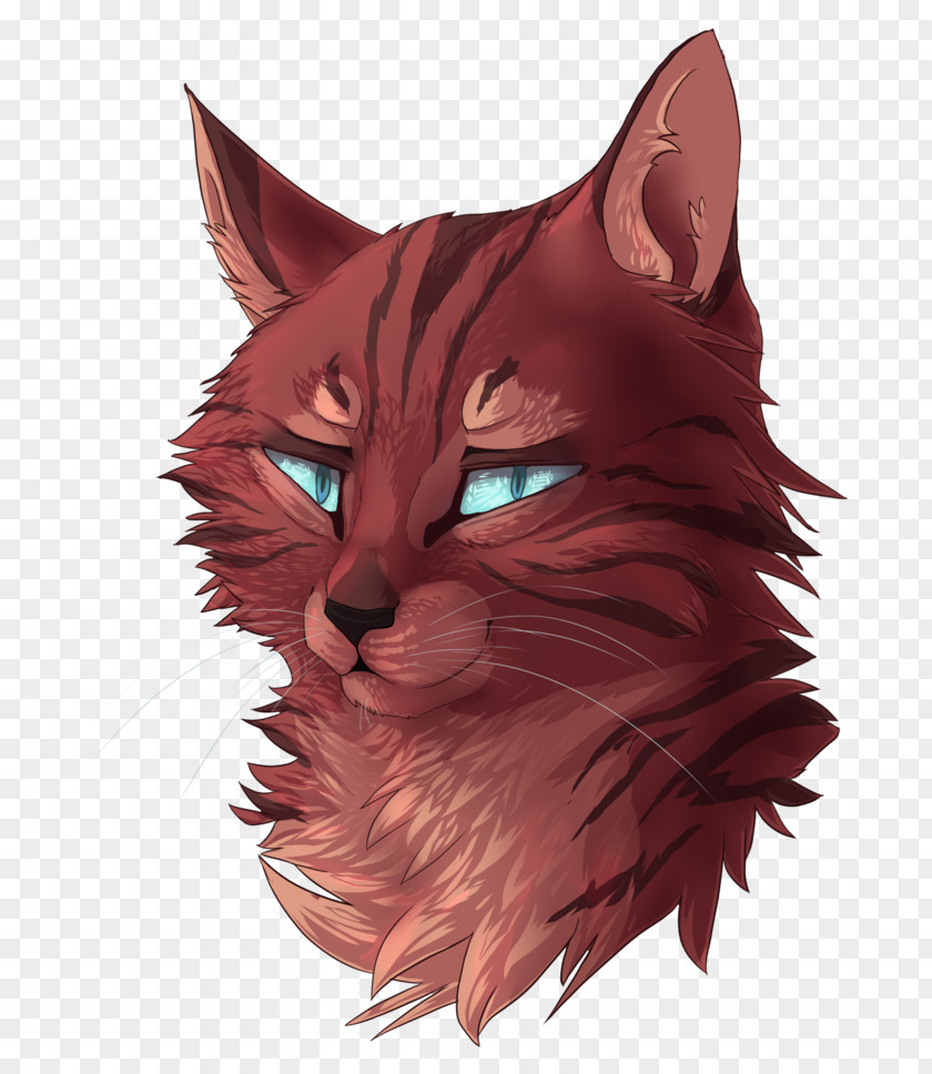 Kitten Whiskers Tabby Cat Bluestar's Prophecy PNG