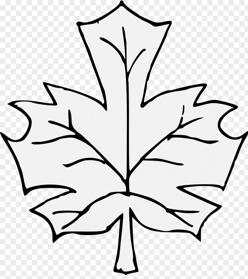 Leaf Clip Art Maple Drawing Line PNG