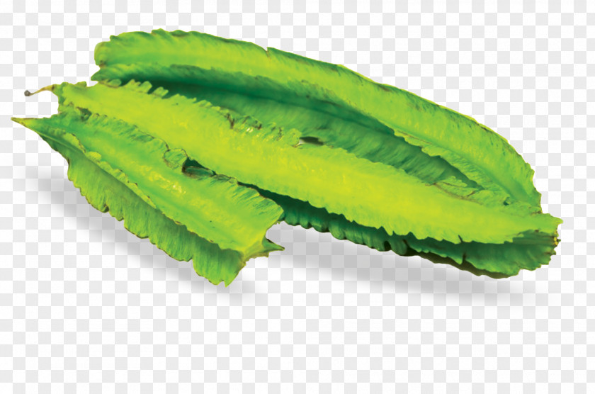 Winged Bean Vegetable Yardlong Legume PNG