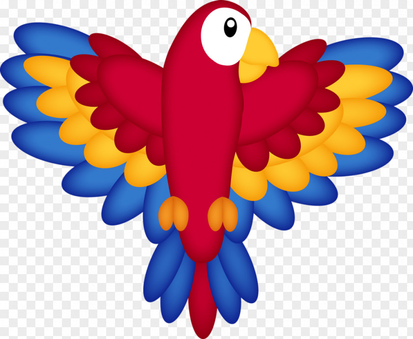 Pirate Parrot Macaw Clip Art PNG