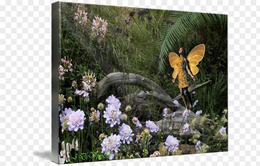 Prayer Mat Fauna Gallery Wrap Garden Canvas Art PNG