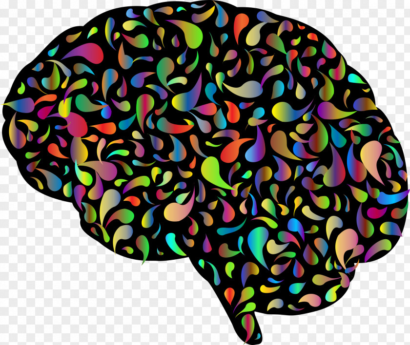 Brain Human Synapse Abstract Clip Art PNG