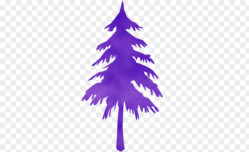 Christmas Decoration Colorado Spruce Tree PNG