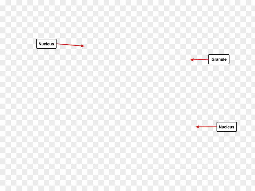 Design Document Line Angle PNG