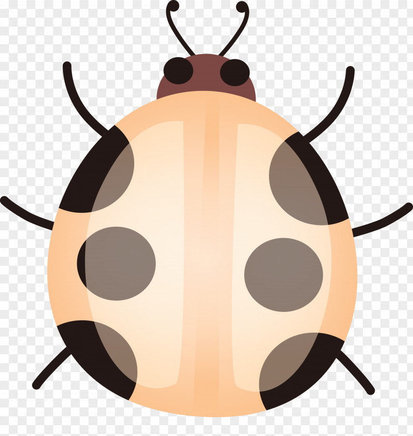 Insect Pest PNG