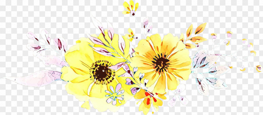 Sunflower Daisy Family Flowers Background PNG