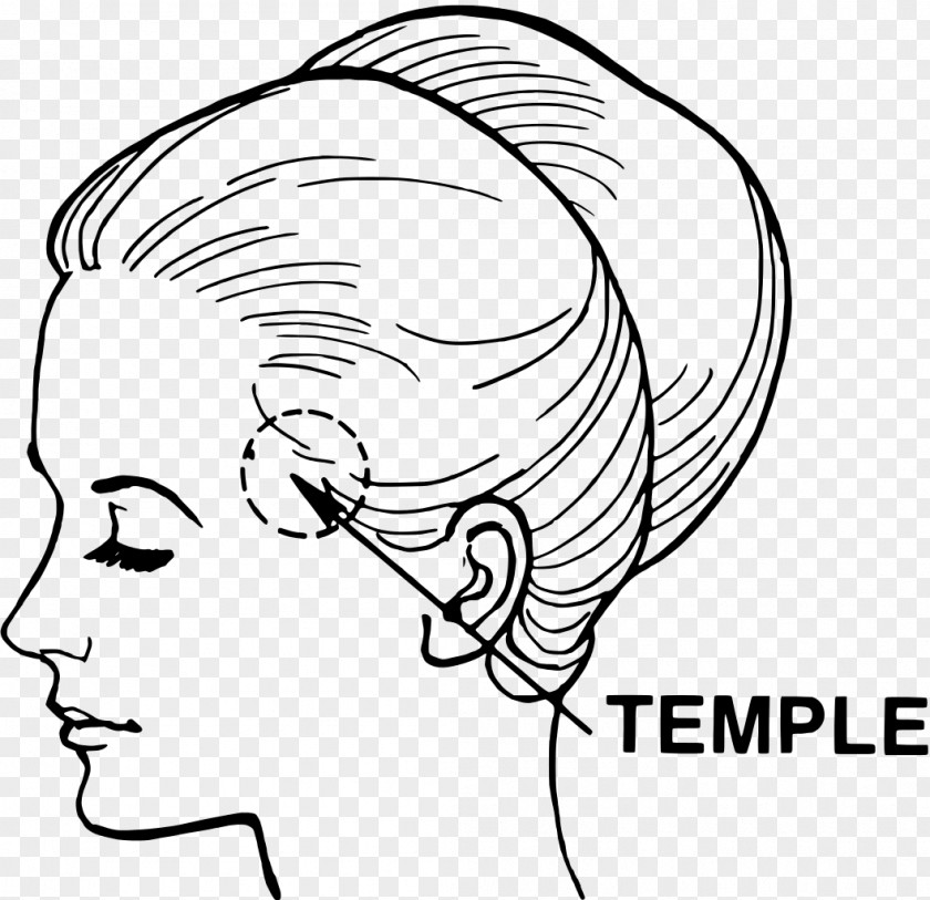 Temple Head And Neck Anatomy Temporal Bone Lobe PNG