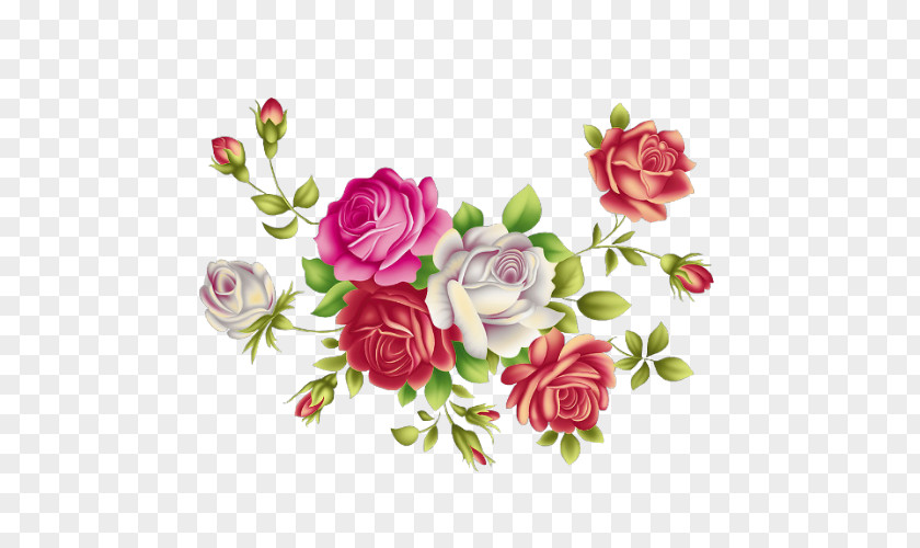 Flower Garden Roses Floral Design Centifolia Paper PNG