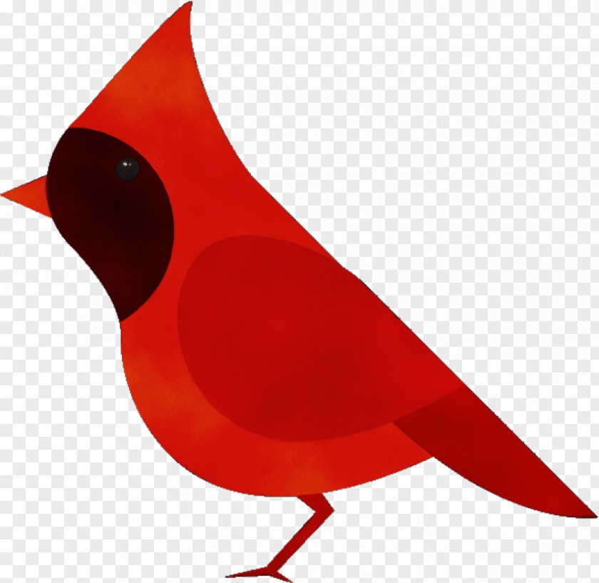 Perching Bird Songbird Red Beak Cardinal PNG