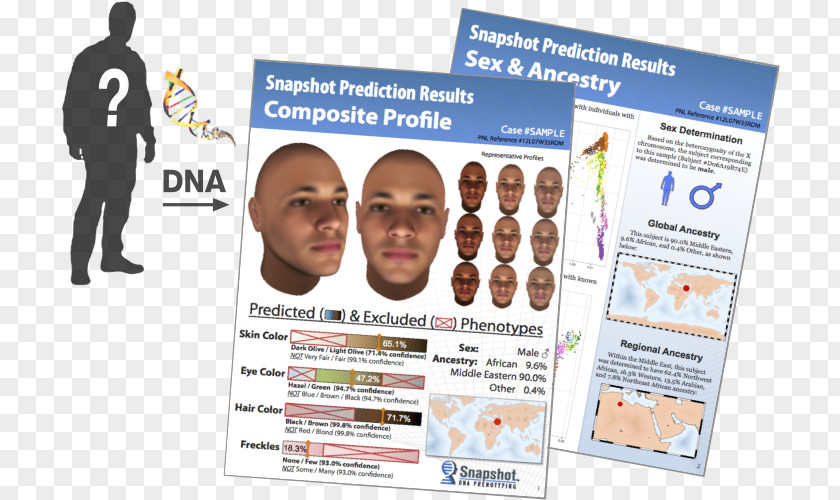 Police DNA Phenotyping Arrest Law Enforcement PNG
