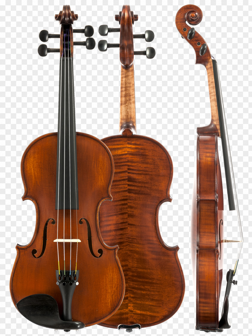 Violin Ukulele Cello Amati Viola PNG
