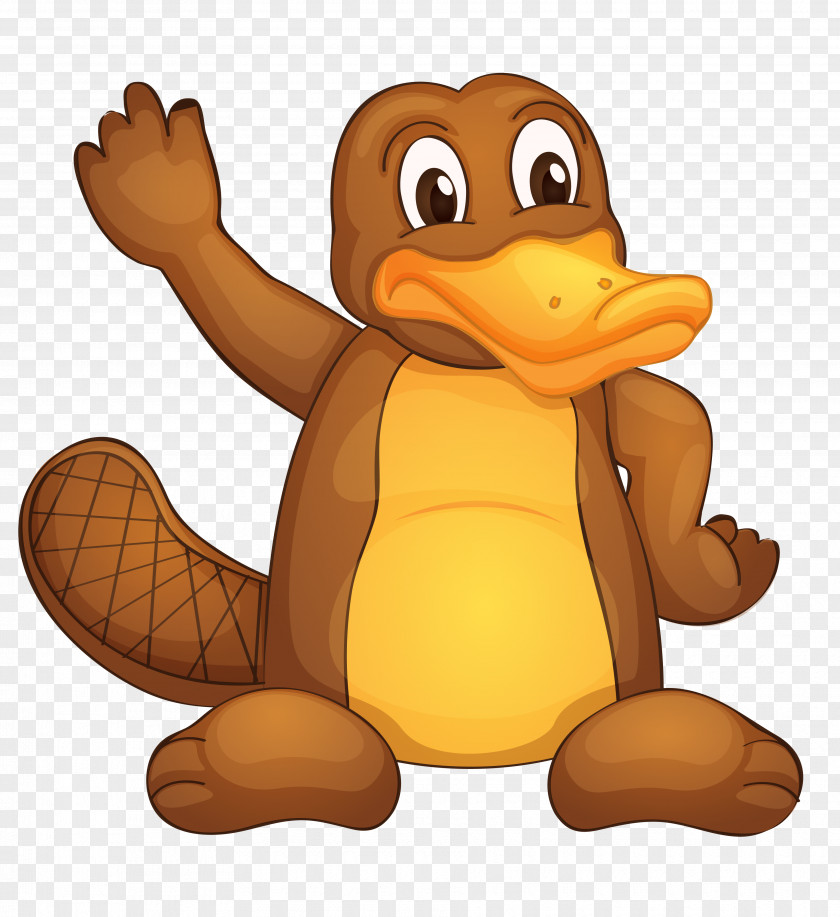 Duck Perry The Platypus Stock Photography Clip Art PNG