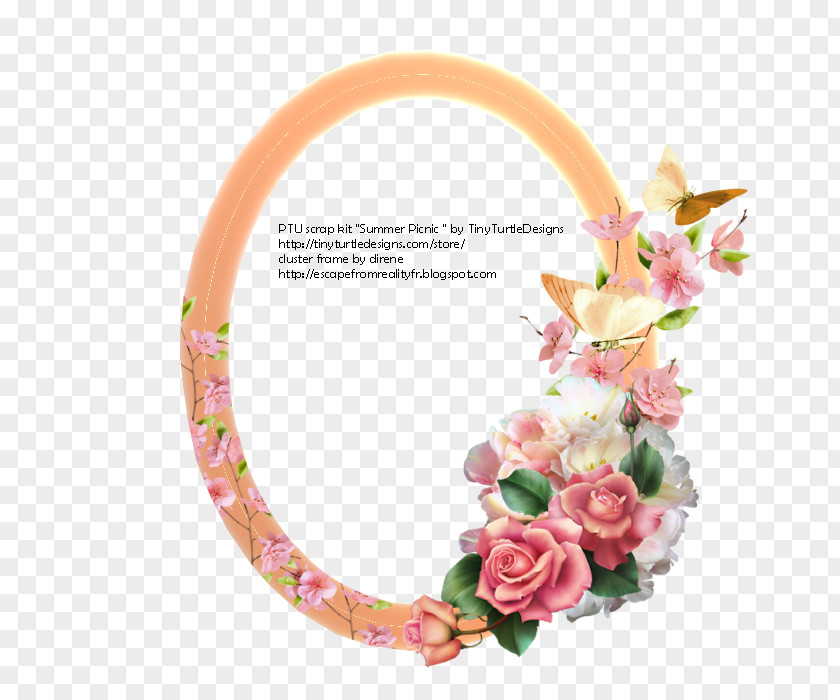 Summer Picnic Floral Design Picture Frames Independence Day PNG