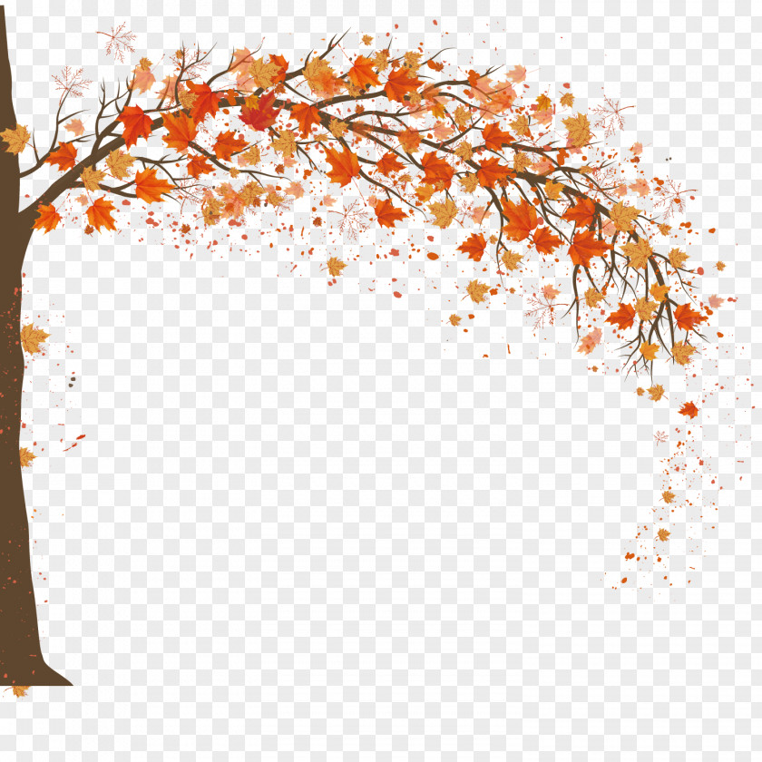 Autumn Maple Background Design Adobe Illustrator PNG