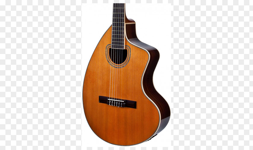 Acoustic Guitar Bass Acoustic-electric Cuatro Giannini PNG