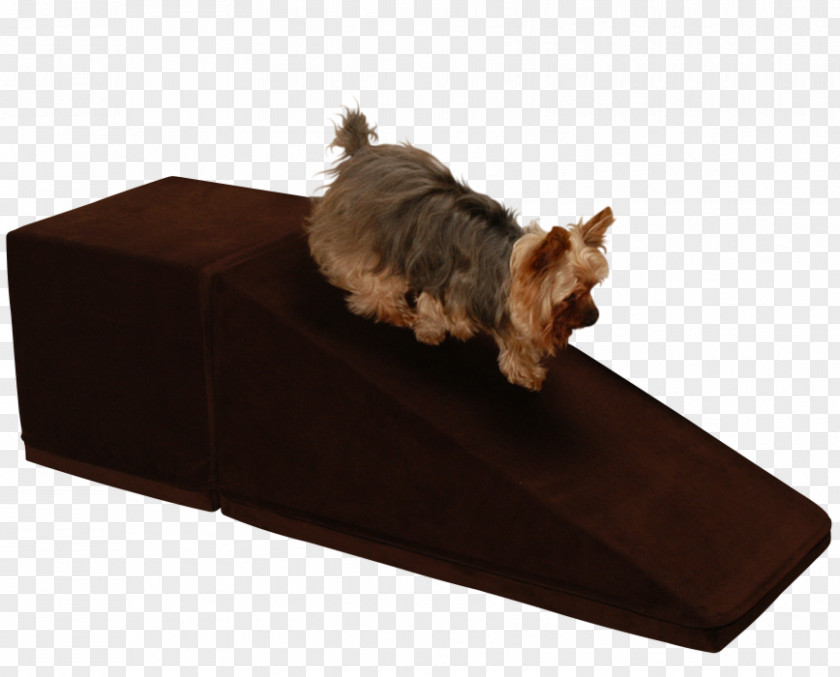 Brown Dog Breed Yorkshire Terrier Pet Inclined Plane Veterinarian PNG