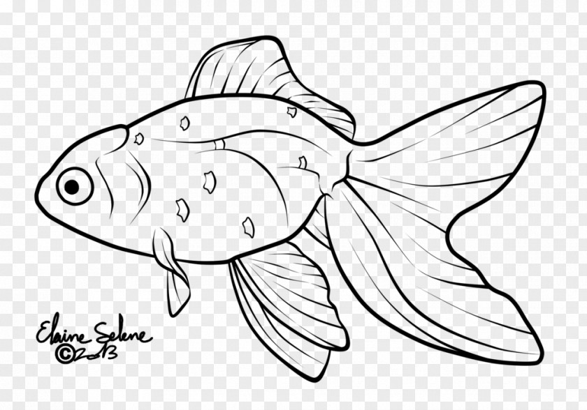 Fish Line Art Oranda Drawing Koi Clip PNG