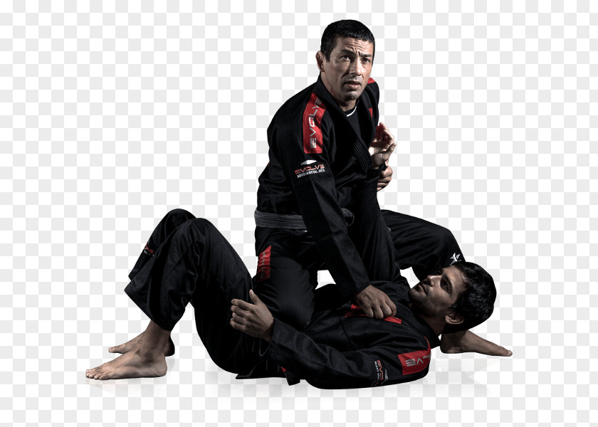 Mixed Martial Arts Brazilian Jiu-jitsu Gi Jujutsu Evolve MMA PNG