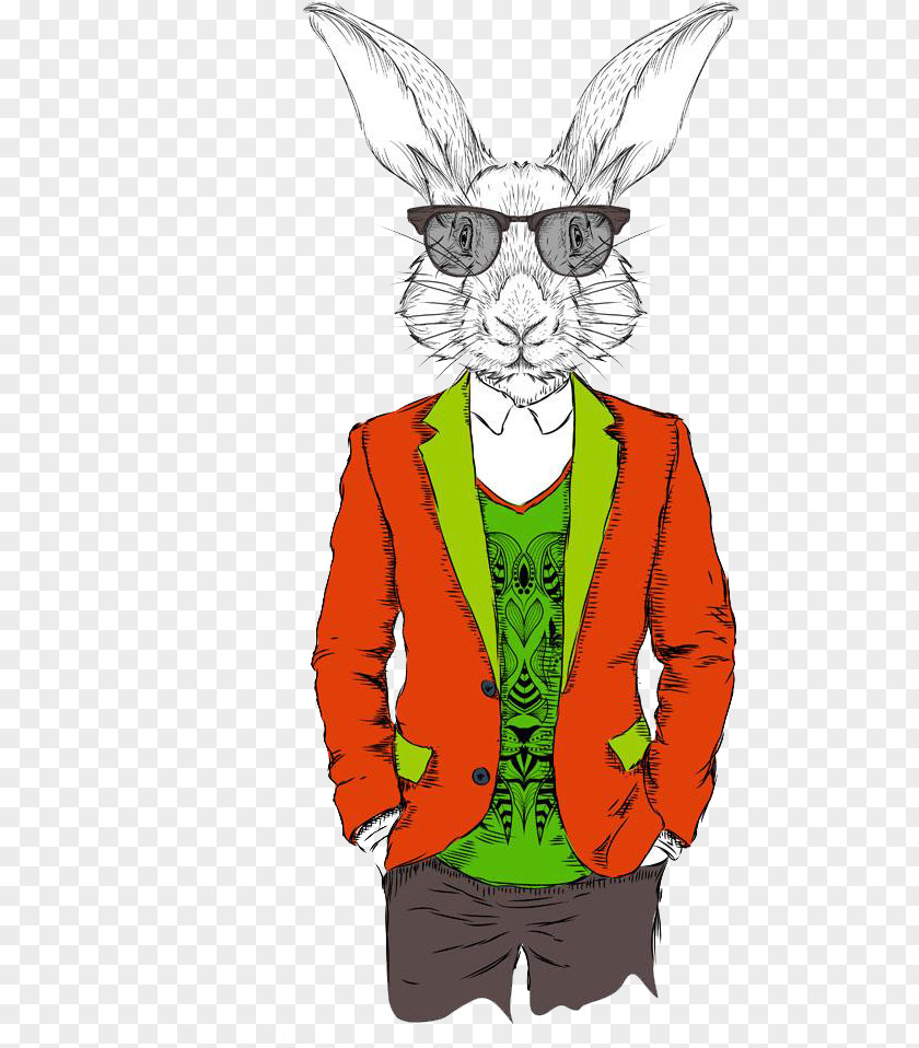 Mr. Rabbit Hipster Illustration PNG