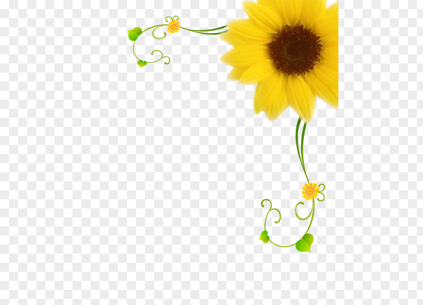 Sunflower Common Motif Pattern PNG
