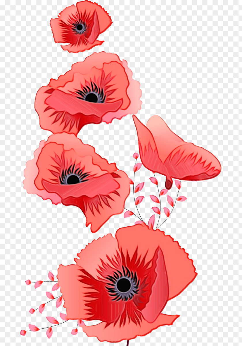 Anemone Peach Pink Flower Cartoon PNG