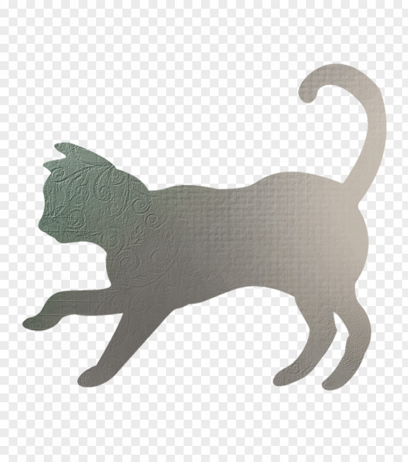 Cat Movies Cats Shadow PNG