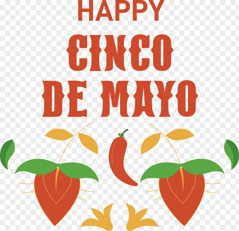 Cinco De Mayo Fifth Of May Mexico PNG