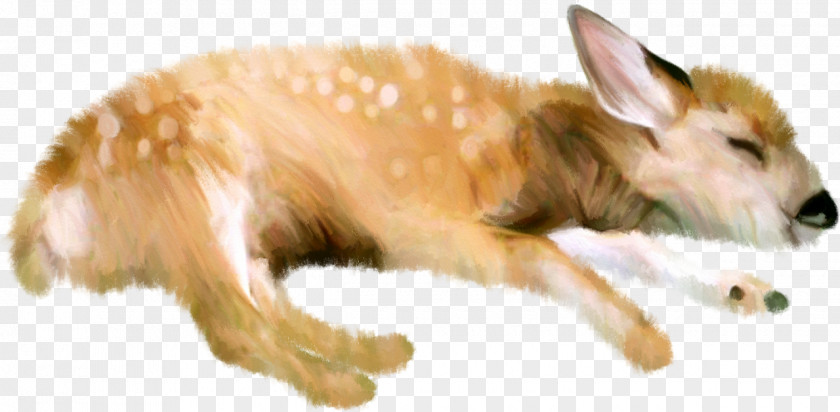 Deer Dog Clip Art PNG