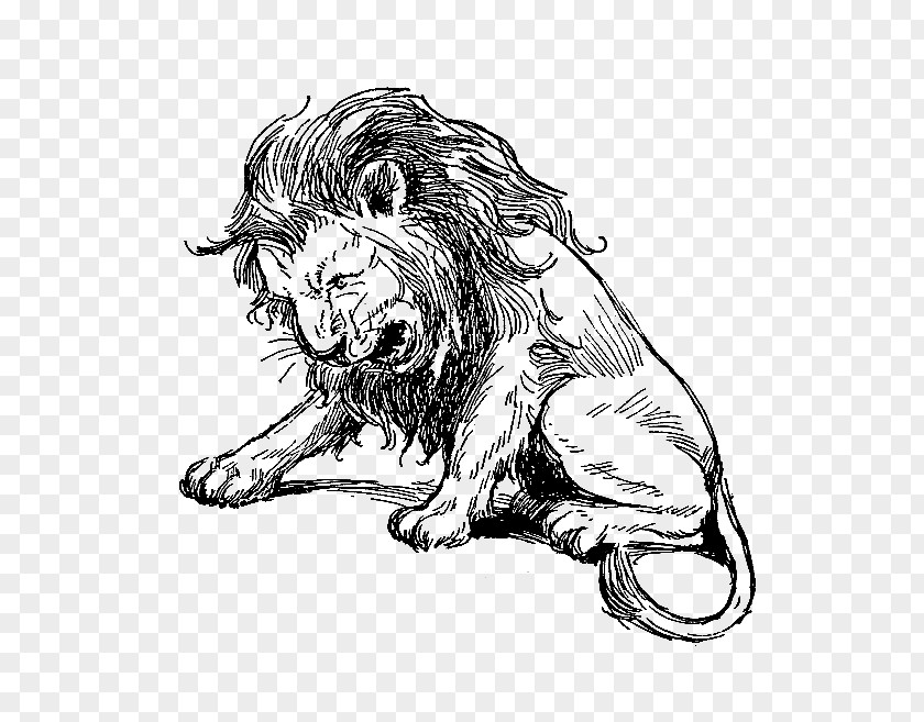 Lion Roar Digital Stamp Sketch PNG