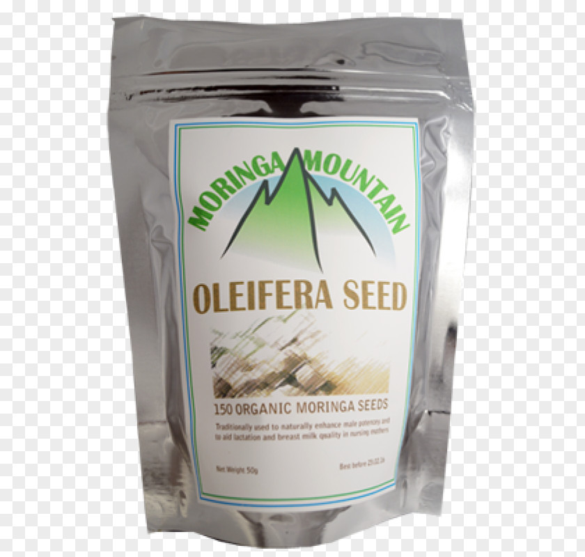 Moringa Tree Commodity Flavor PNG