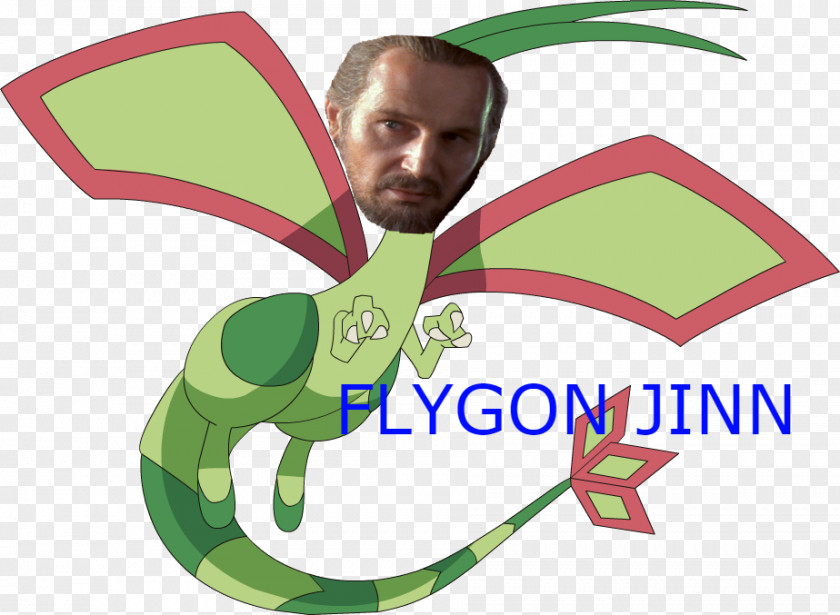 Qui Gon Jinn Flygon Pokémon Universe Vibrava Trapinch PNG