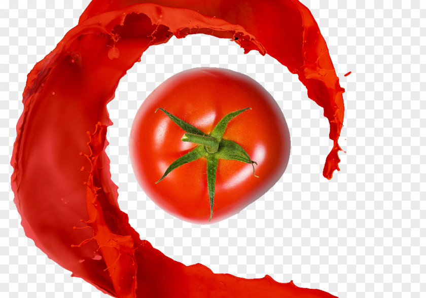 Tomato Image Juice Vegetable Stock Photography PNG