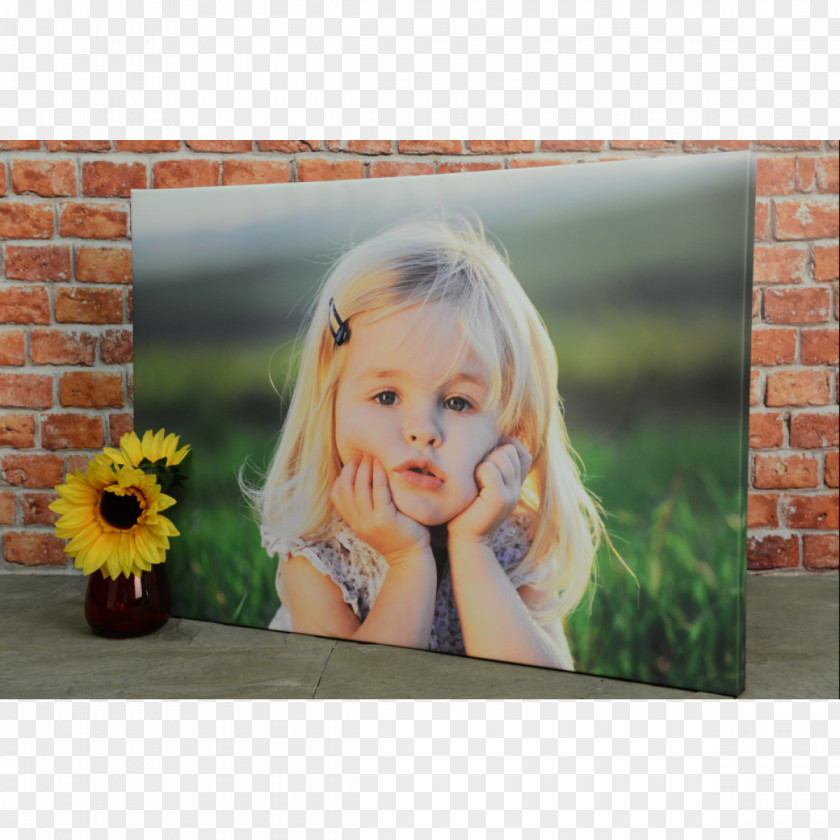 Canvas Print Motion Photography Apple PNG