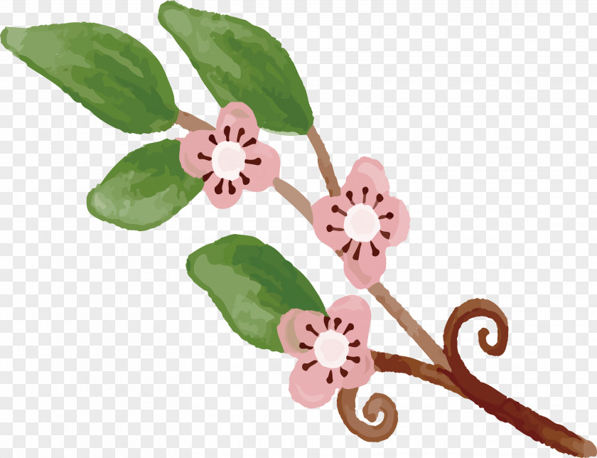 Cartoon Cherry Tree Branches Blossom Drawing PNG