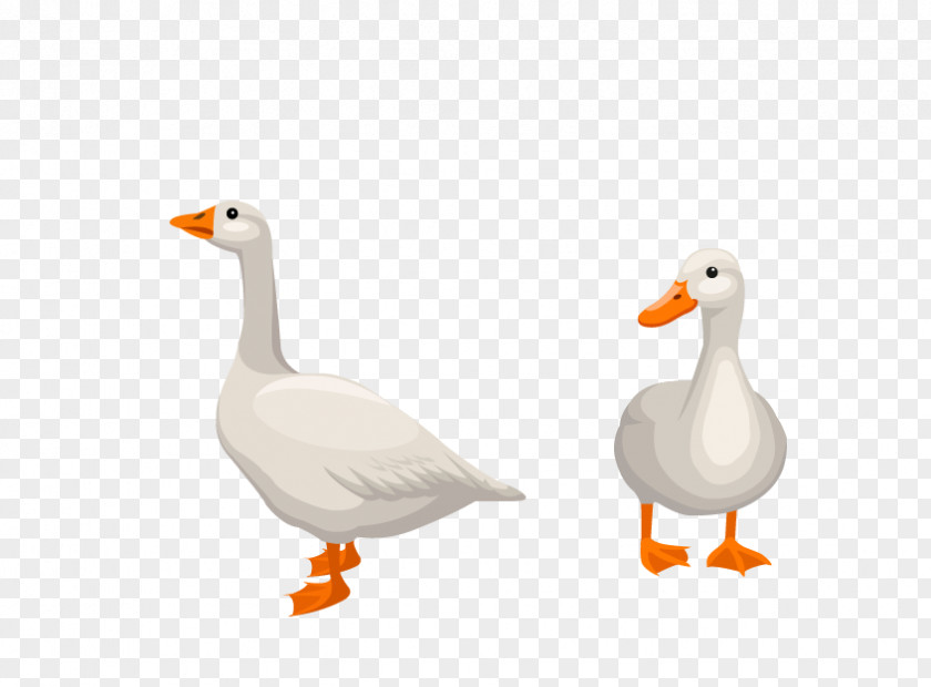 Duck Donald Goose Euclidean Vector PNG