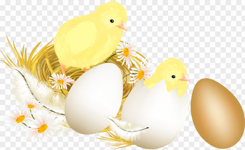 Easter Bunny Chicken Egg Clip Art PNG