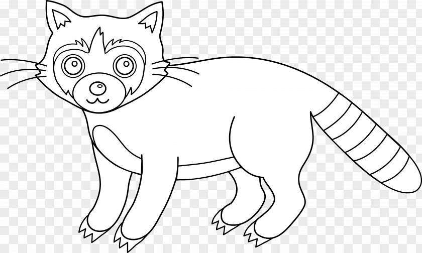 Raccoon Cliparts Whiskers Line Art Clip PNG