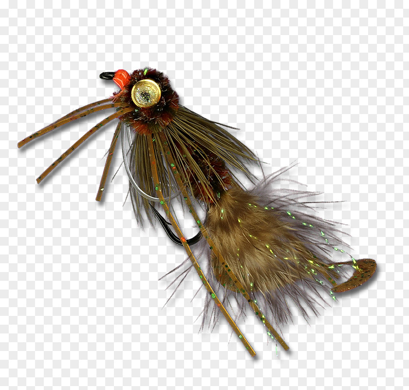 Scorpion Fly Feather Beak PNG