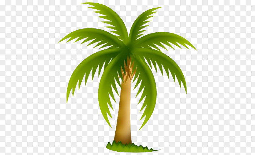 Tree Arecaceae California Palm Clip Art PNG