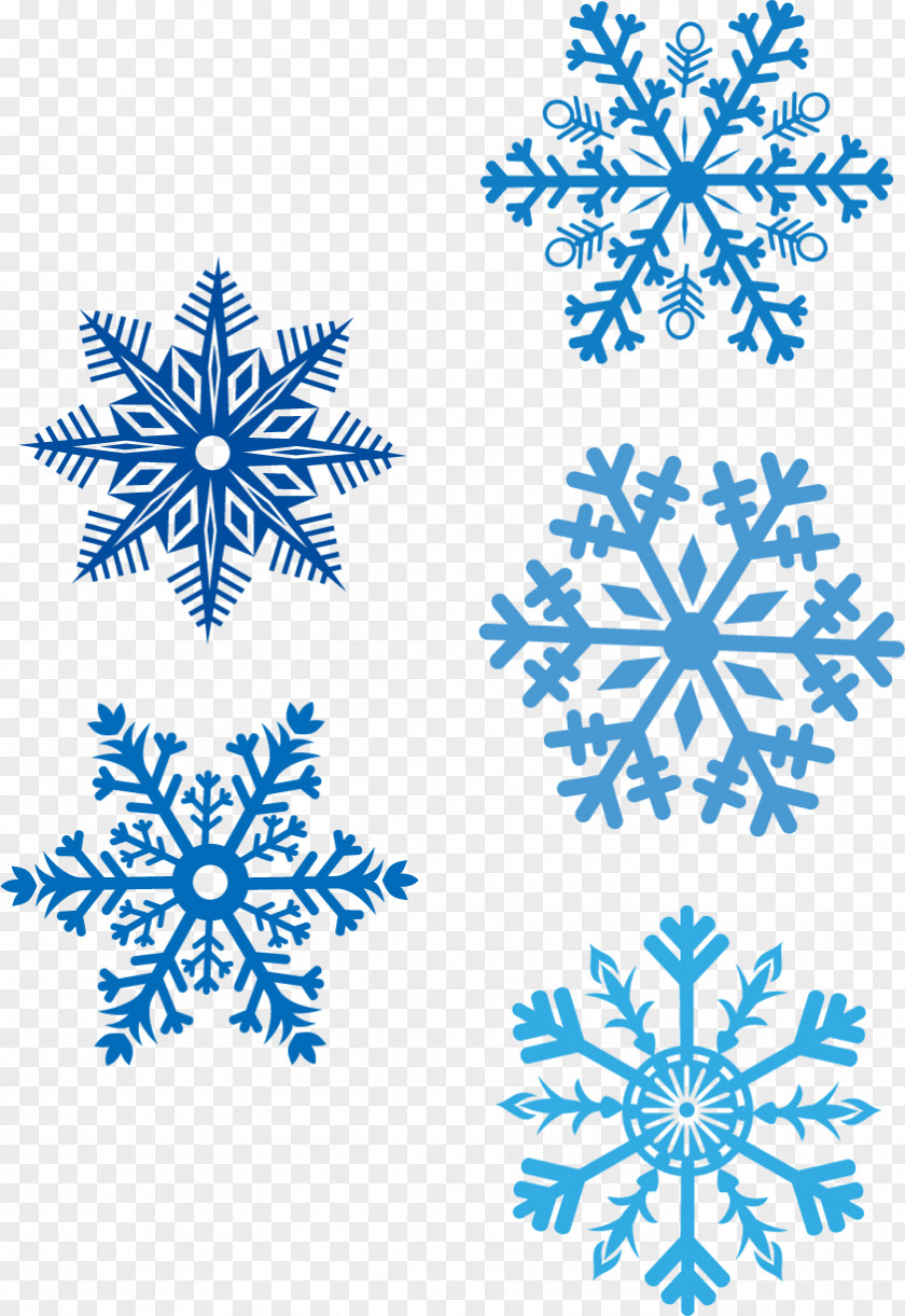 Vector Blue Snowflake Snow Euclidean Sticker PNG